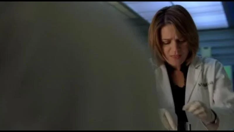 Кадры из сериала CSI: Место преступления Нью-Йорк (2004)